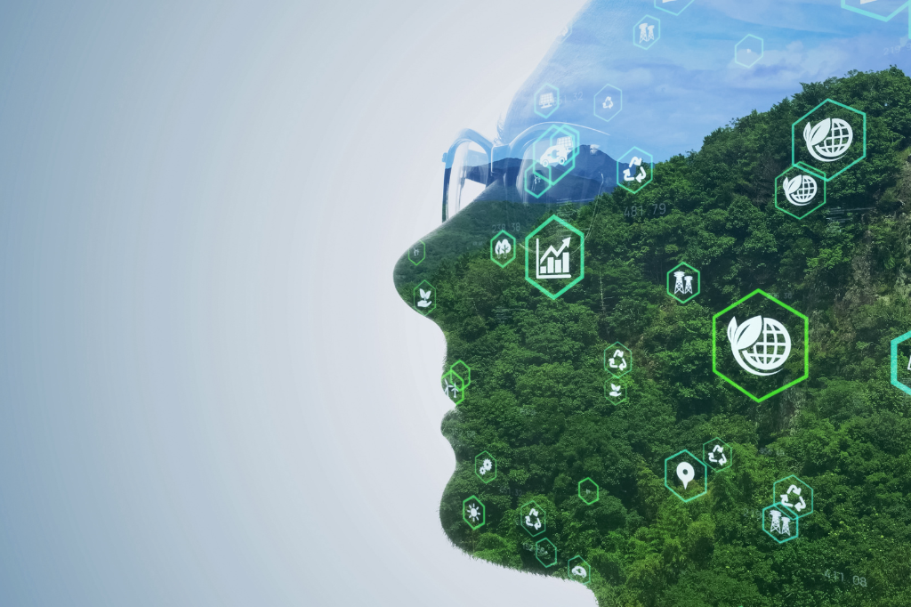 Sustentabilidade e Educação Ambiental nas Escolas Públicas