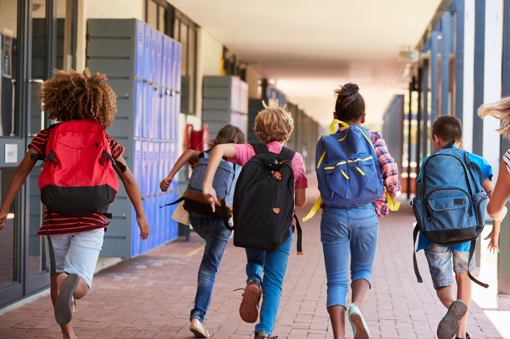 Educação Inclusiva nas Escolas Públicas Brasileiras