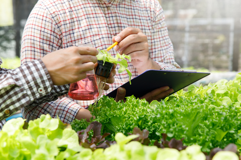 Desafios para a adoção de práticas de agricultura orgânica em grande escala