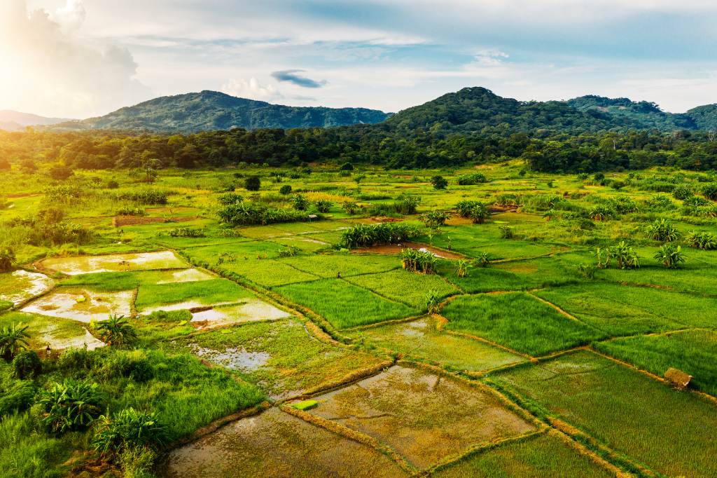 Como os Brasileiros Estão Promovendo o Turismo Rural Sustentável