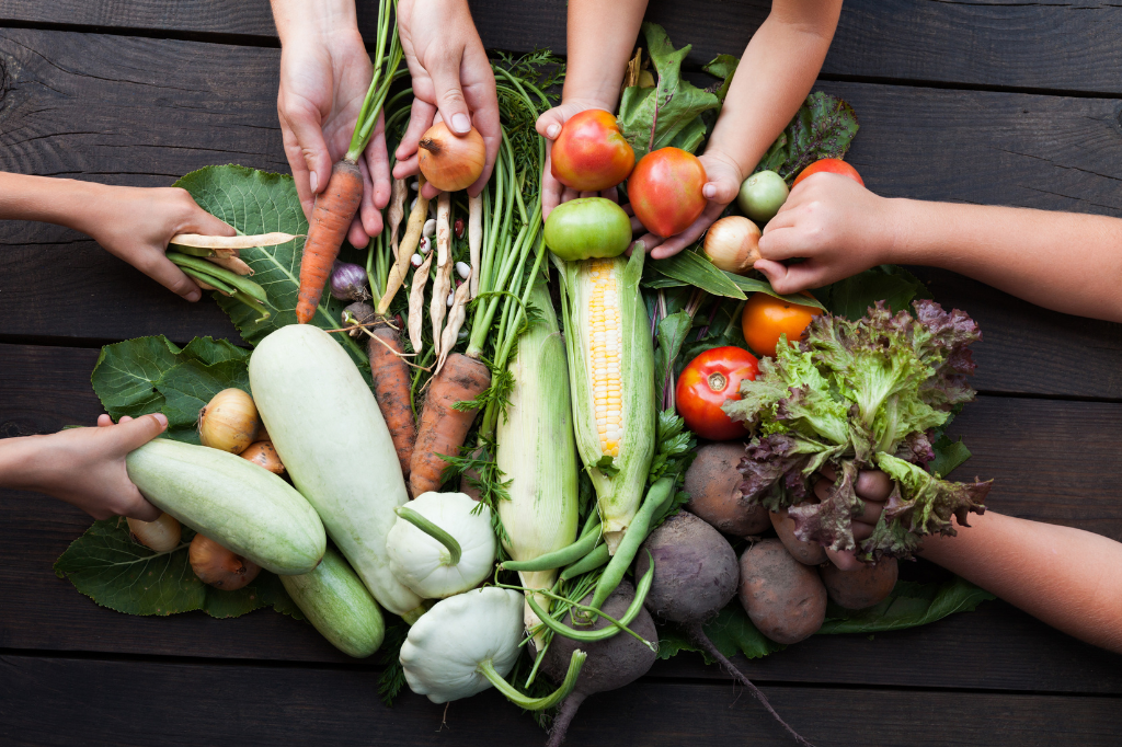 Como a Gastronomia Sustentável está Ganhando Espaço no Brasil: Tendências e Desafios