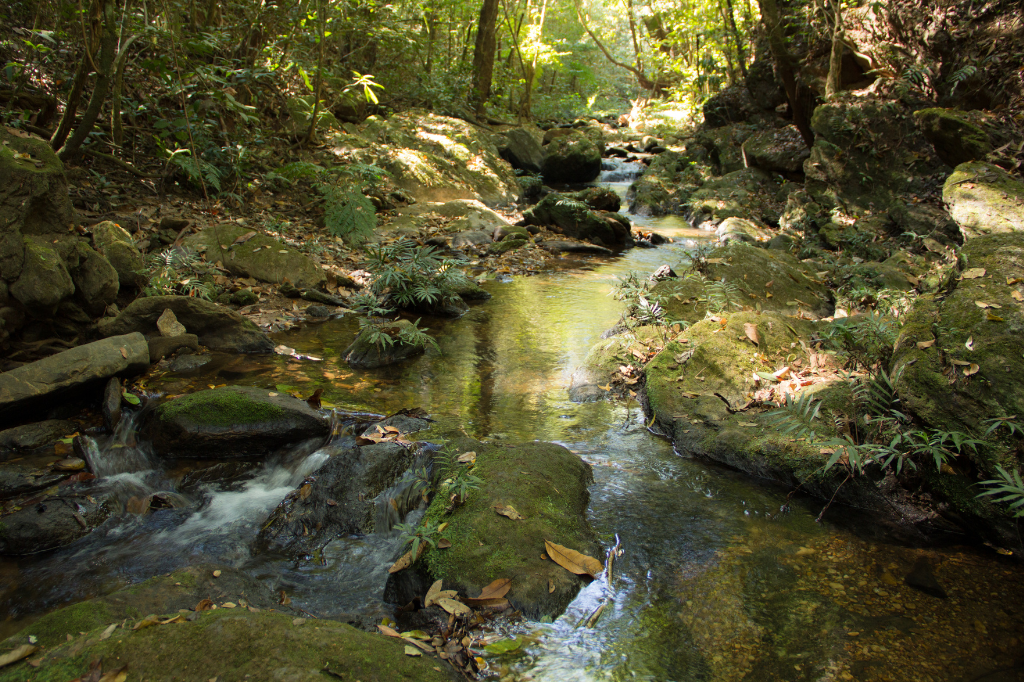 A Importância dos Rios Brasileiros para a Conservação da Biodiversidade Local