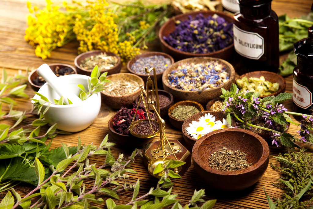 Benefícios do Uso de Plantas Medicinais Brasileiras na Culinária: Um Guia Completo