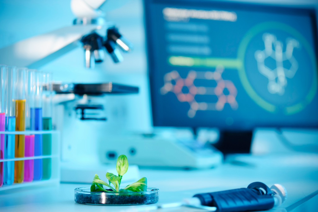 Como a Biotecnologia Está Revolucionando a Agricultura no Brasil